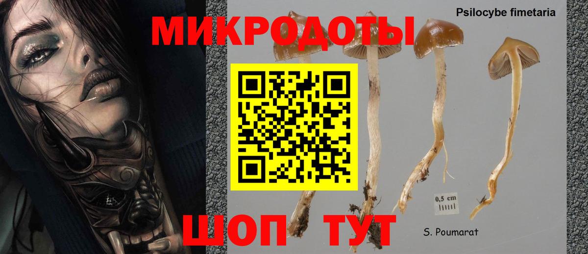 Галлюциногенные грибы Cubensis Павловский Посад